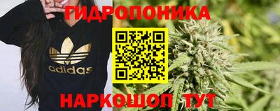 ECSTASY Тула