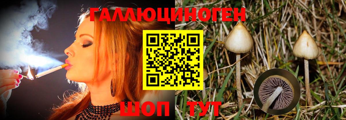 Псилоцибиновые грибы Magic Shrooms  Вход с VPN  Ярцево 
